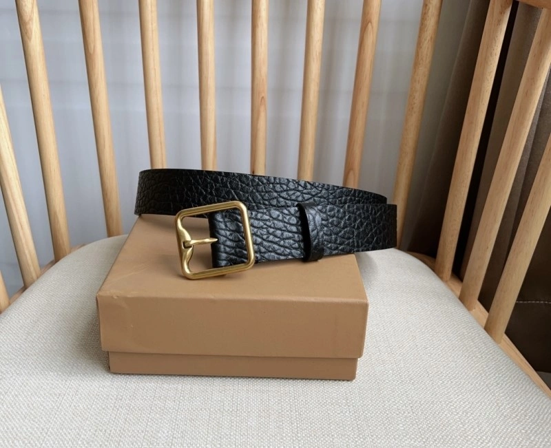 EyeCatching Burberry Belts 283015