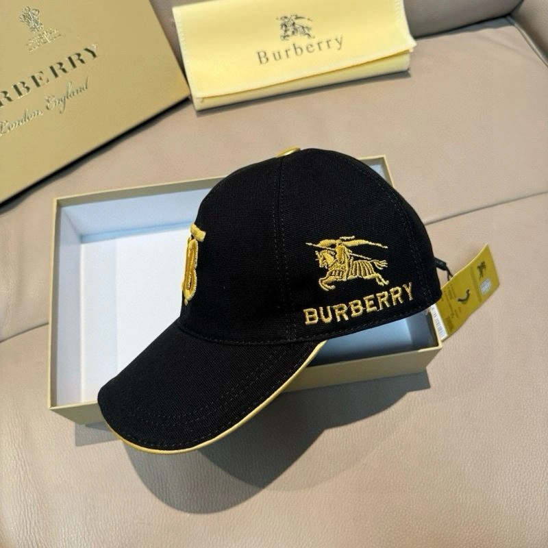 Burberry Caps GoAnywhere 261526