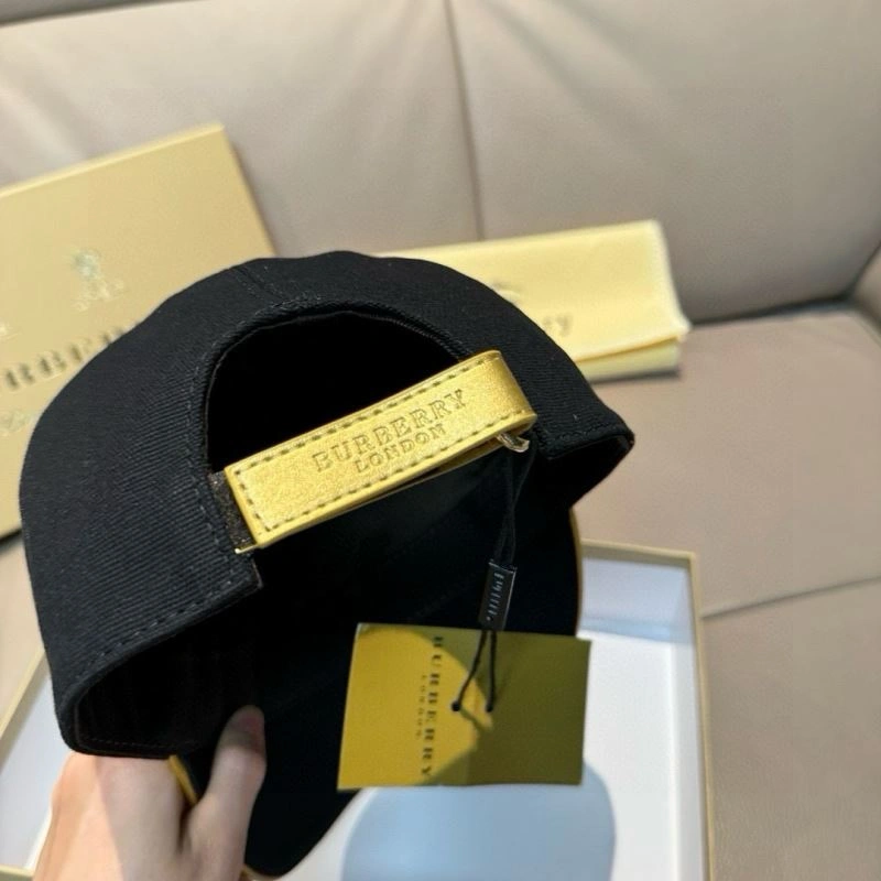 Burberry Caps GoAnywhere 261526