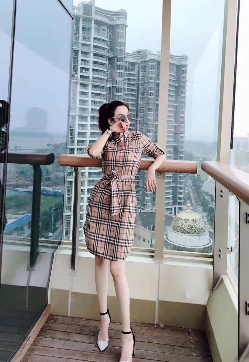 WrinkleFree Burberry Dress 104857