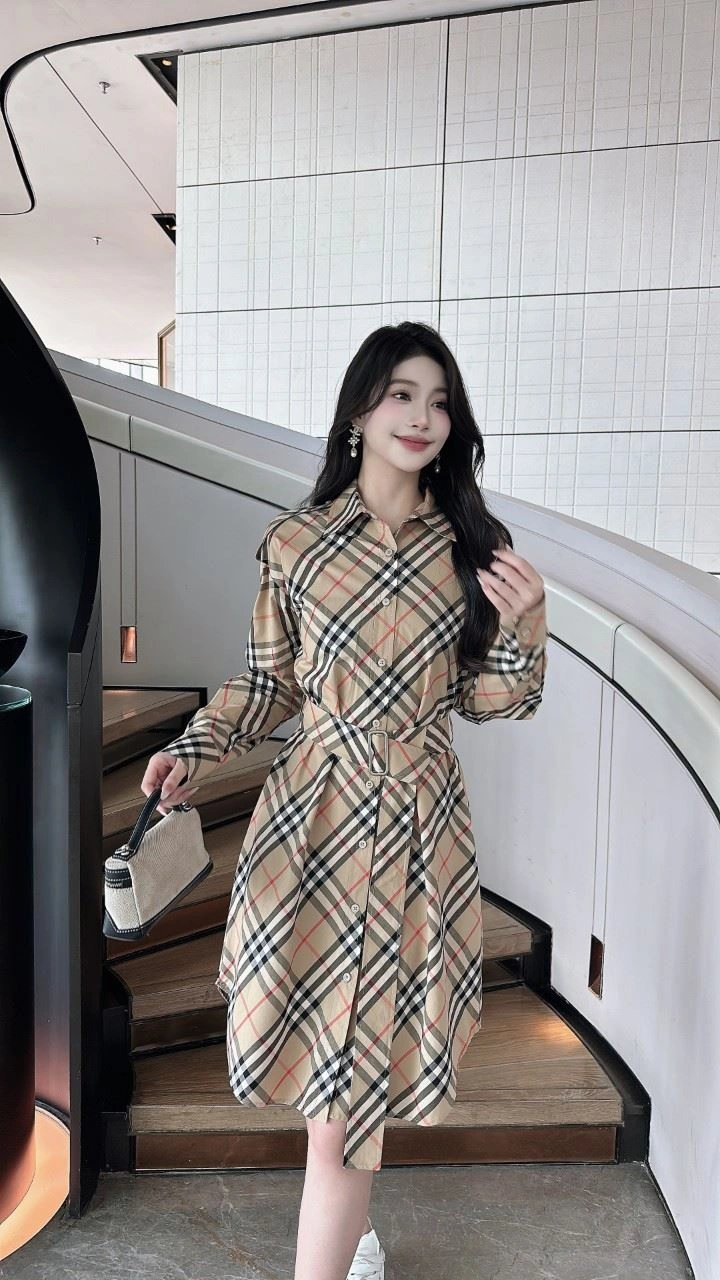 WrinkleFree Burberry Dress 104818