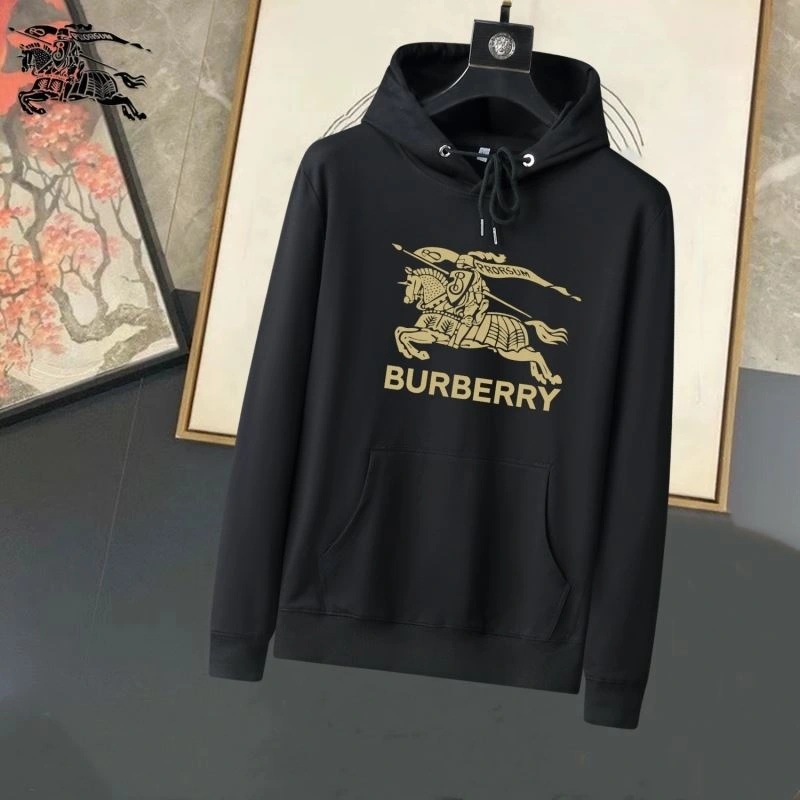 Burberry Hoodies Fashionable 99434