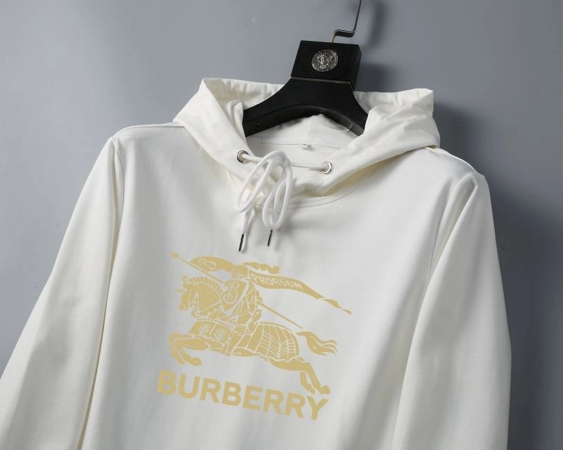 Burberry Hoodies Fashionable 99434