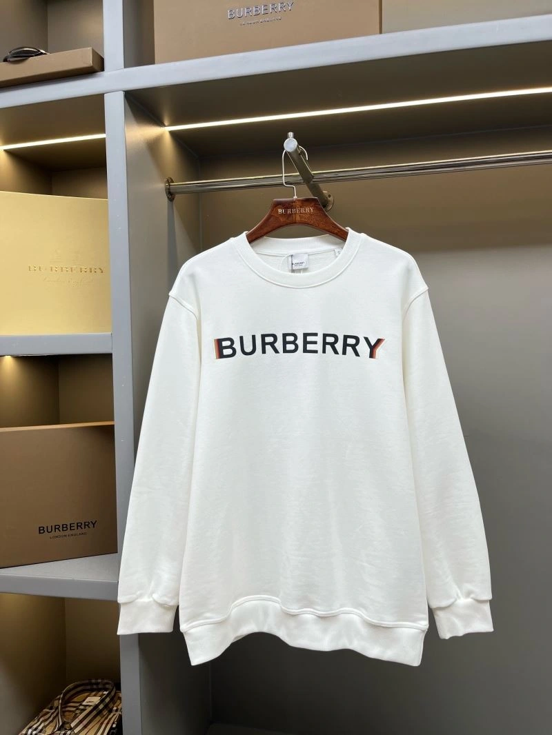 DailyWear Burberry Hoodies 103317