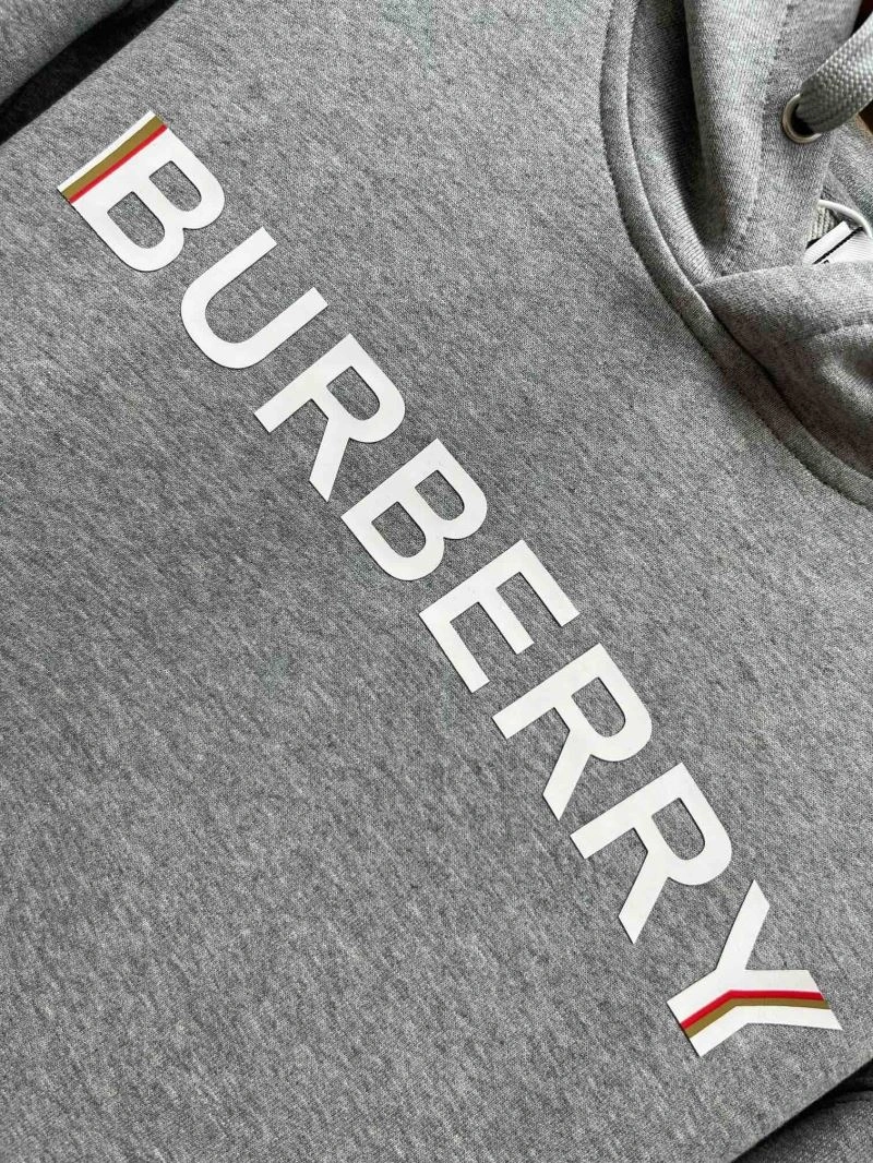 Efficient Burberry Hoodies 103290
