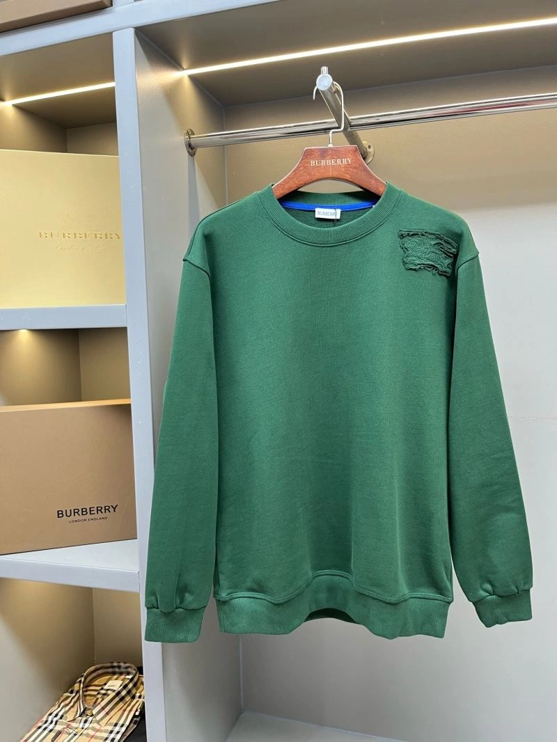 Resilient Burberry Hoodies 103310