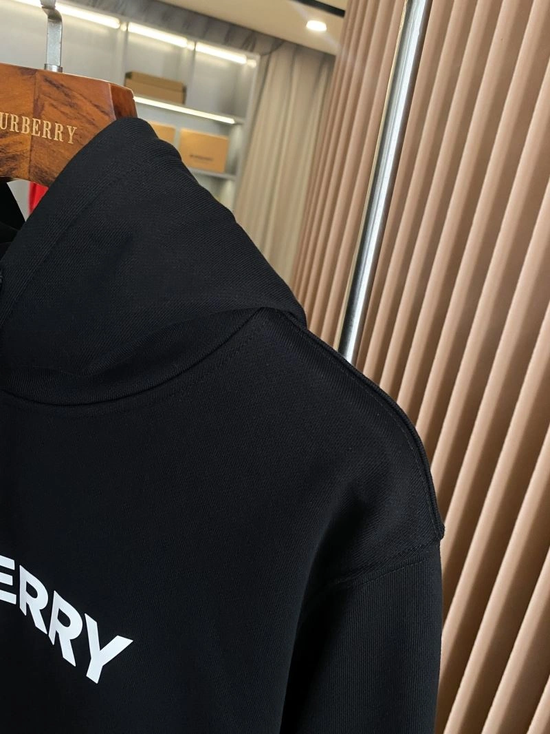 Burberry Hoodies Affordable 103313