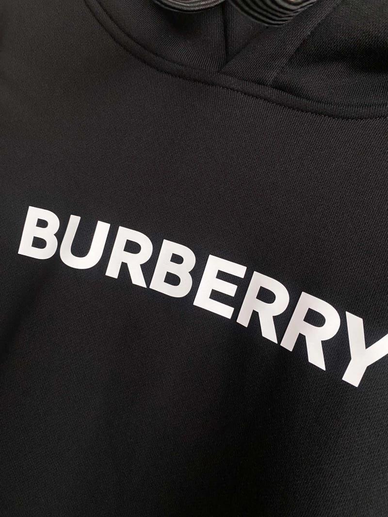 Burberry Hoodies Affordable 103313