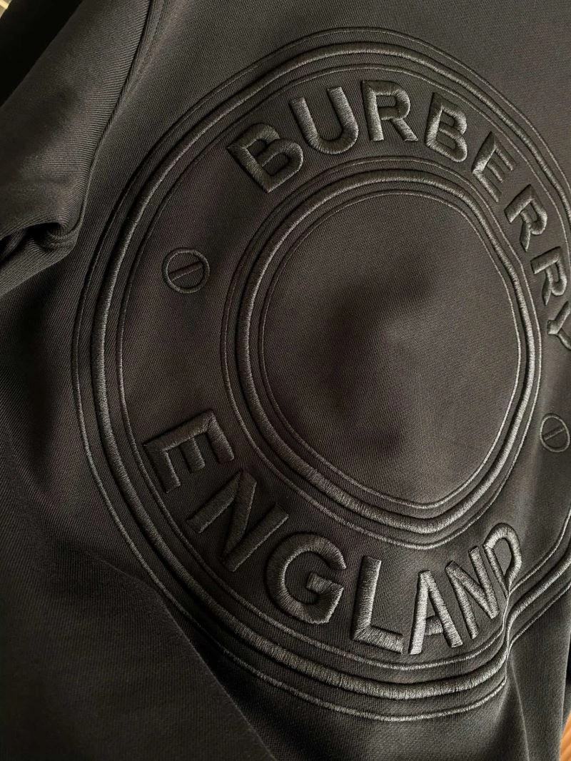 Burberry Hoodies Resilient 103222