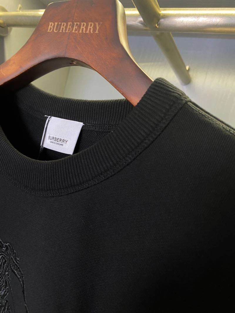 Burberry Hoodies Fashionable 105719