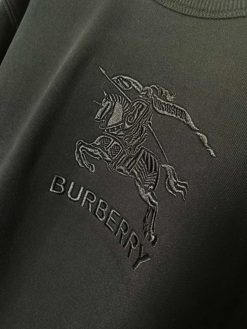 Burberry Hoodies Fashionable 105719