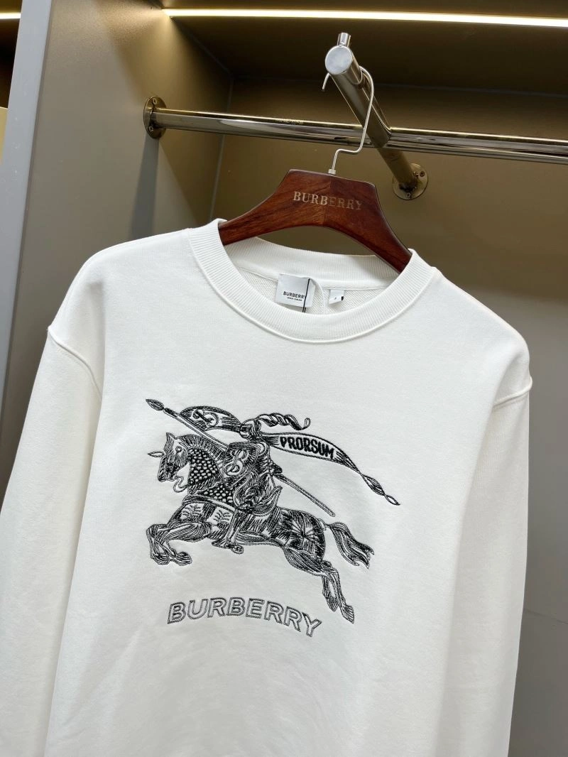 WrinkleFree Burberry Hoodies 105730