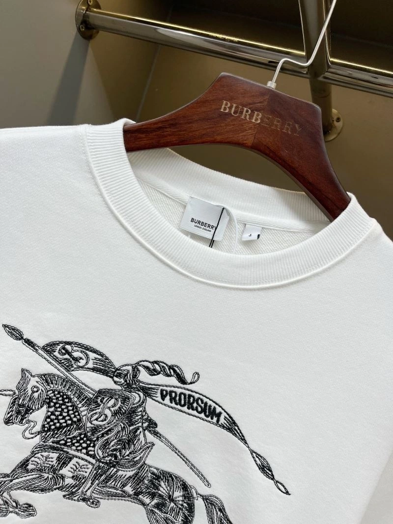 WrinkleFree Burberry Hoodies 105730
