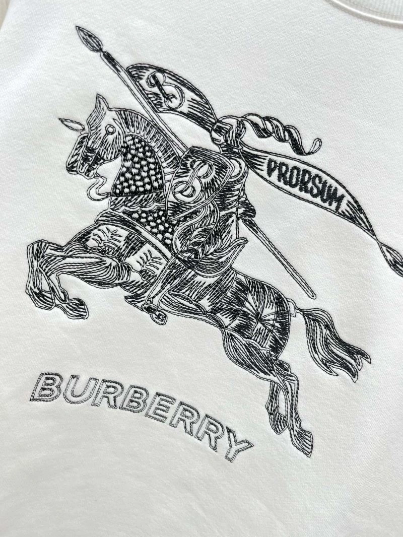 WrinkleFree Burberry Hoodies 105730