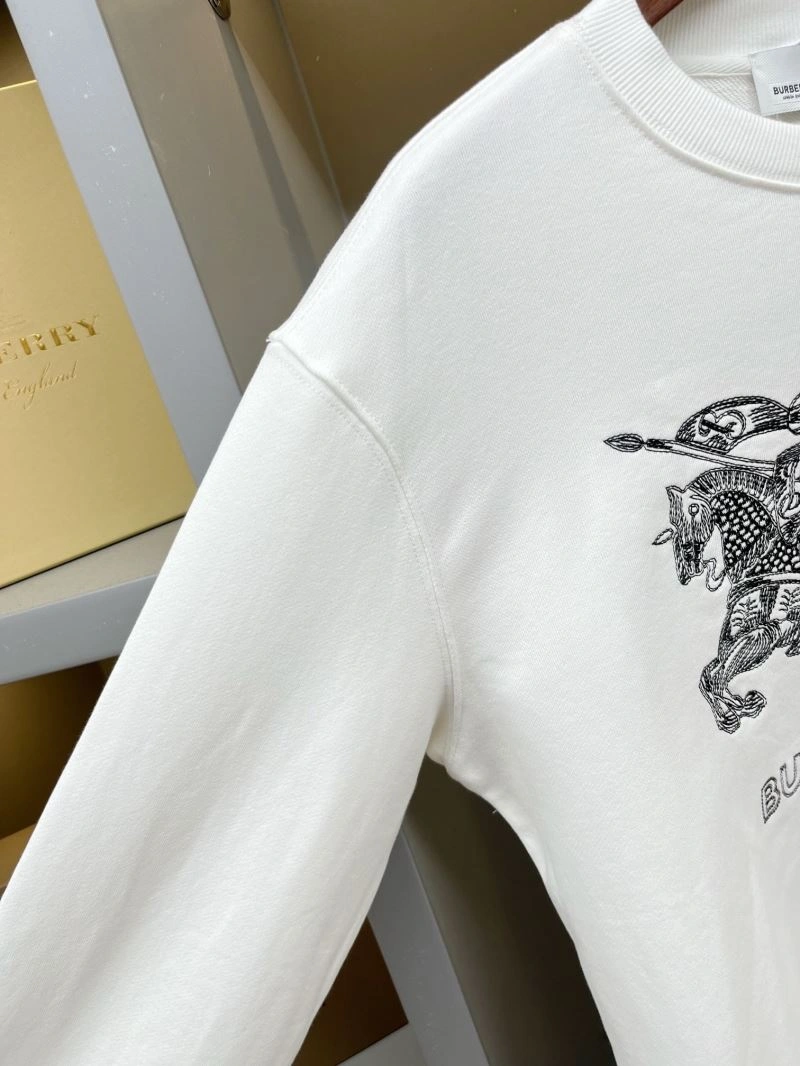 WrinkleFree Burberry Hoodies 105730
