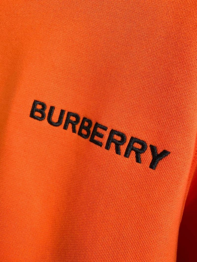 Burberry Hoodies Flexible 105797