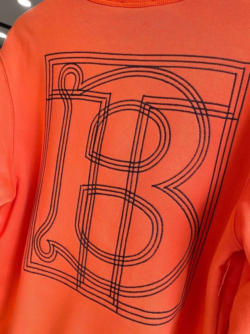 Burberry Hoodies Flexible 105797