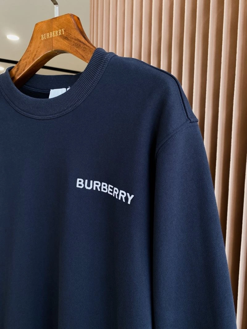 EasyCare Burberry Hoodies 105718