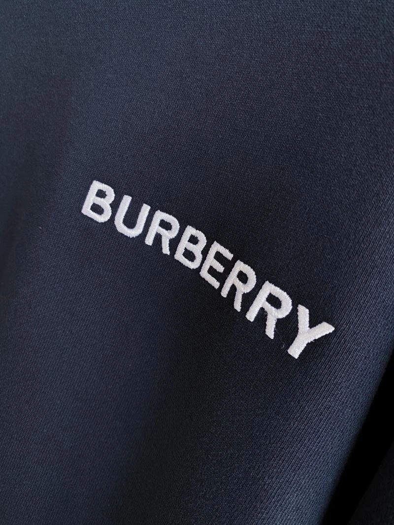 EasyCare Burberry Hoodies 105718