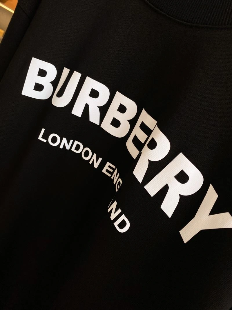 ZeroBulk Burberry Hoodies 105774