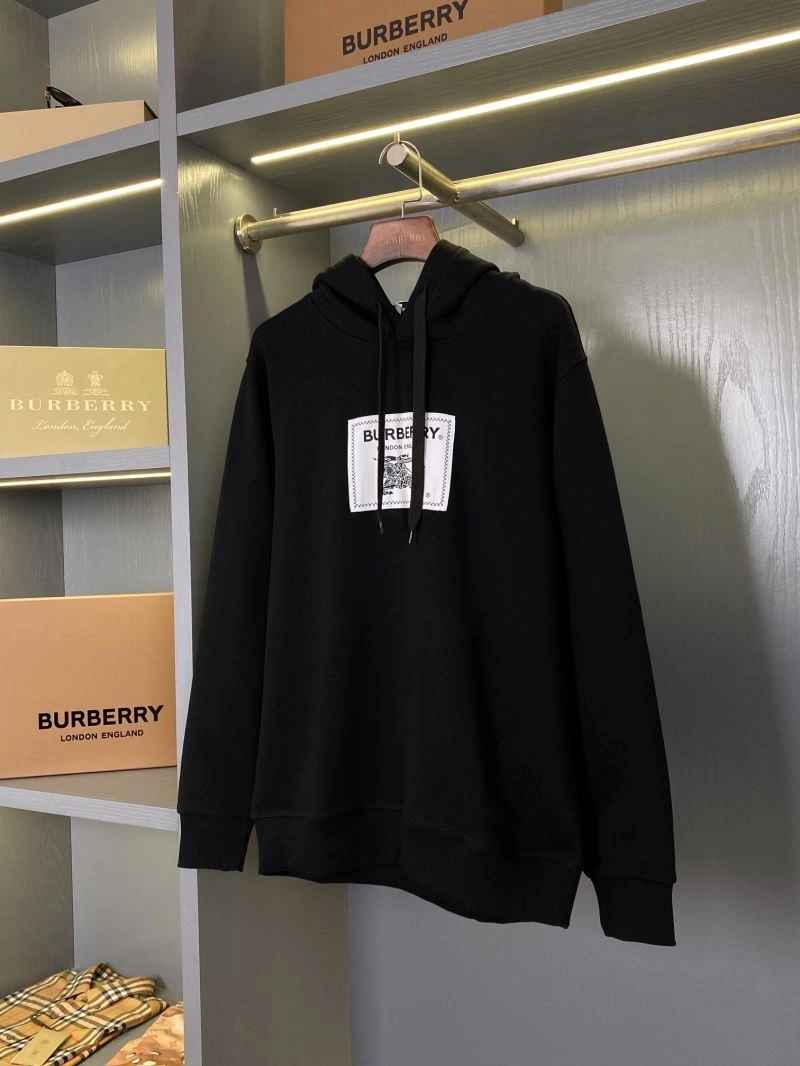 Burberry Hoodies EyeCatching 105738