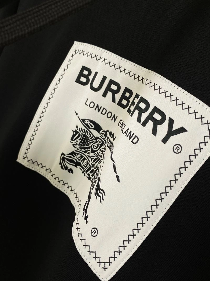 Burberry Hoodies EyeCatching 105738