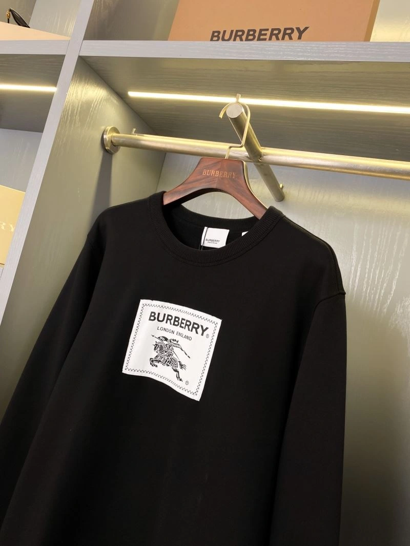 GoAnywhere Burberry Hoodies 105697