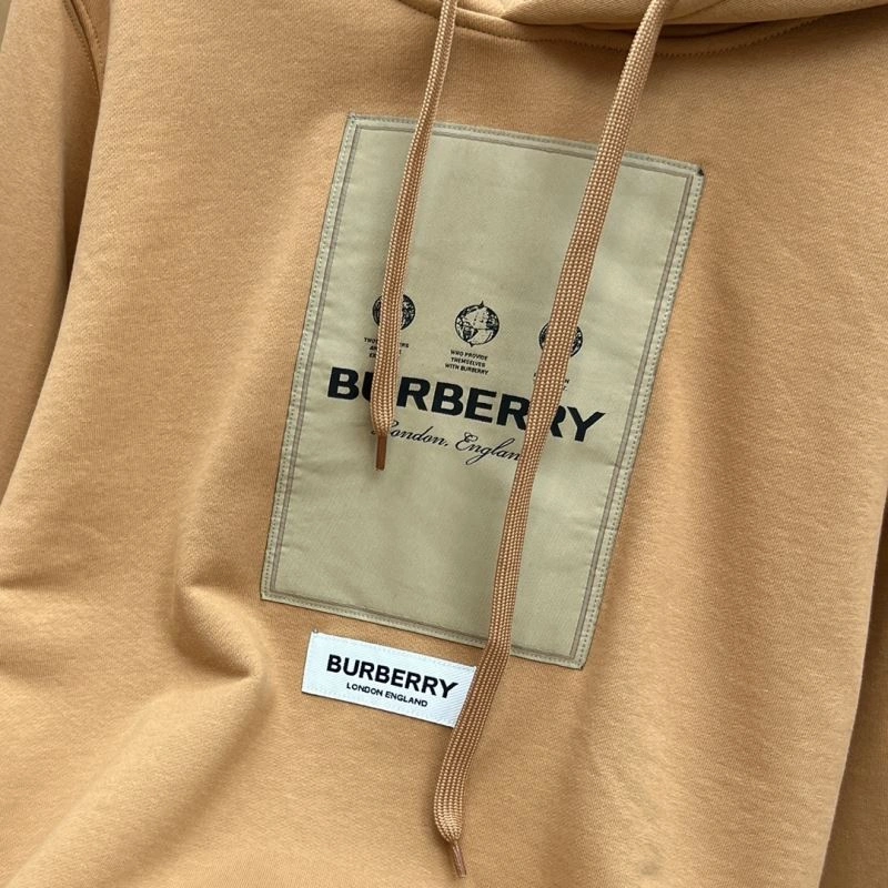 Burberry Hoodies Comfortable 105731