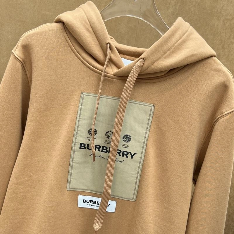 Burberry Hoodies Comfortable 105731