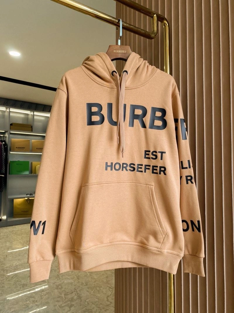 Seasonal Burberry Hoodies 105728