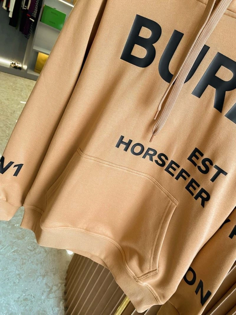 Seasonal Burberry Hoodies 105728