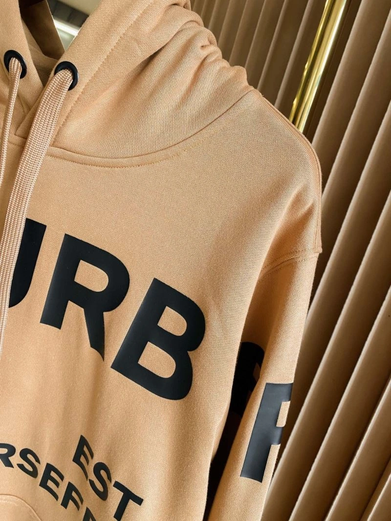 Seasonal Burberry Hoodies 105728
