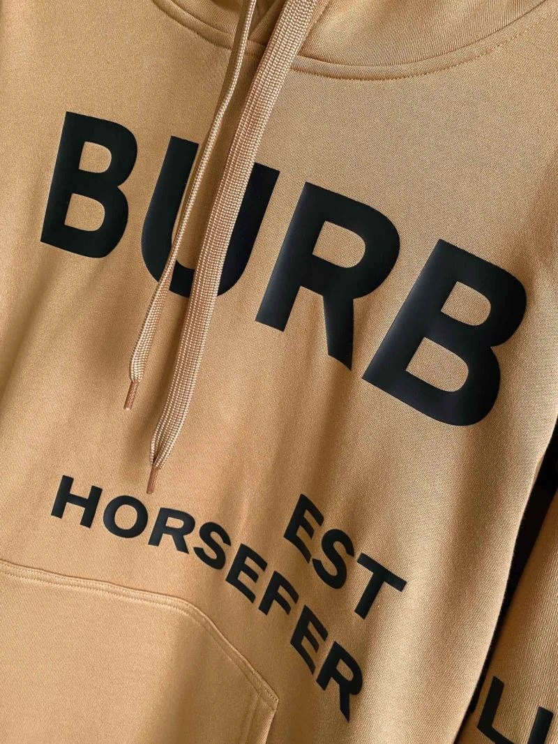 Seasonal Burberry Hoodies 105728