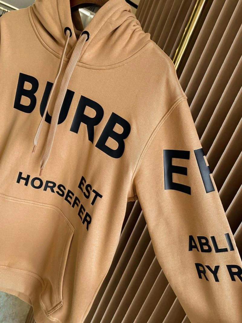 Seasonal Burberry Hoodies 105728