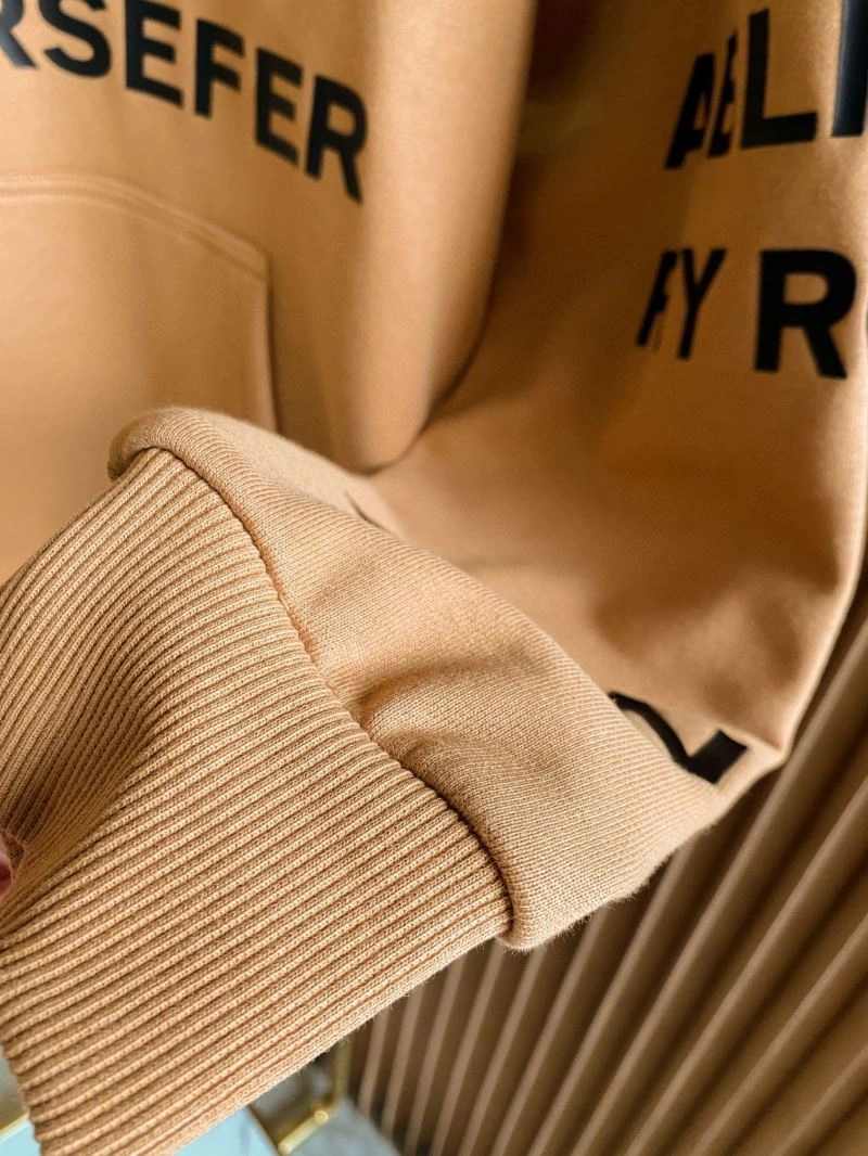 Seasonal Burberry Hoodies 105728
