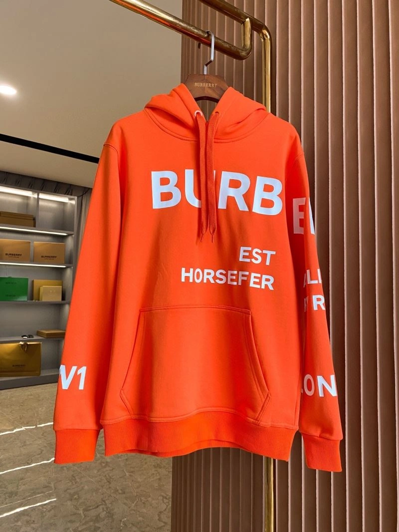 EasyCare Burberry Hoodies 105680