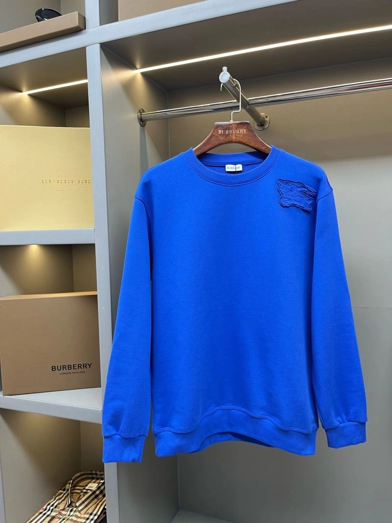 Burberry Hoodies Vibrant 105644