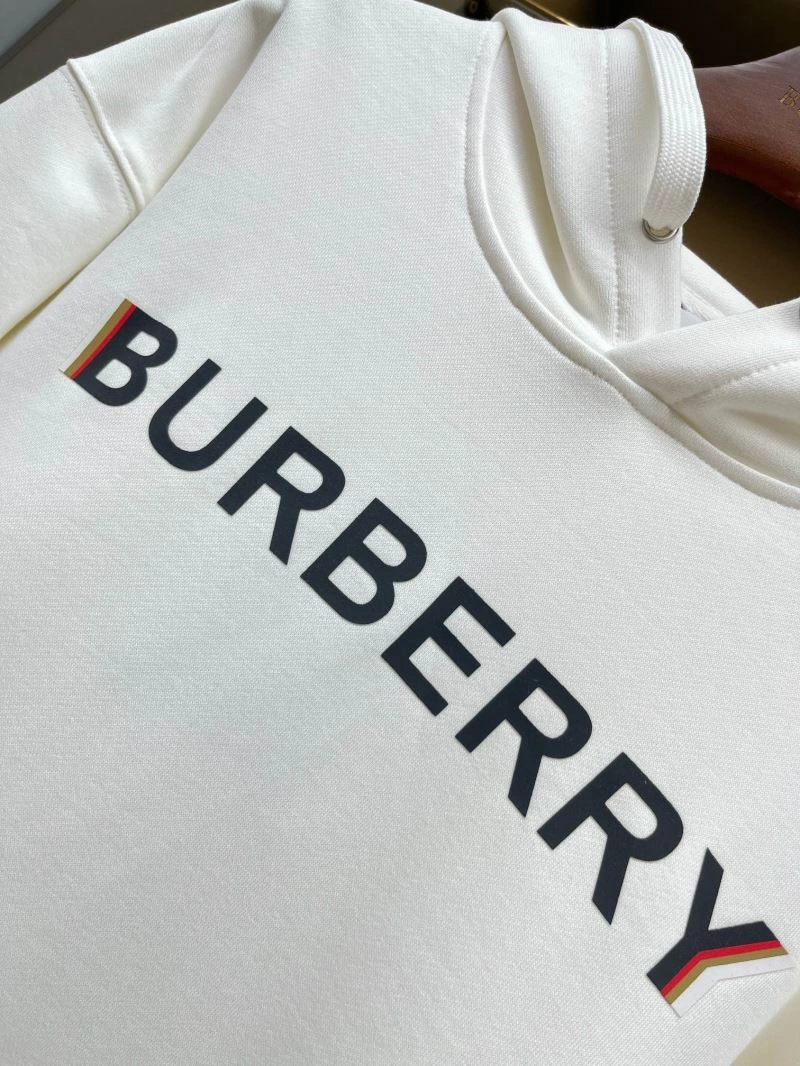 Durable Burberry Hoodies 105633