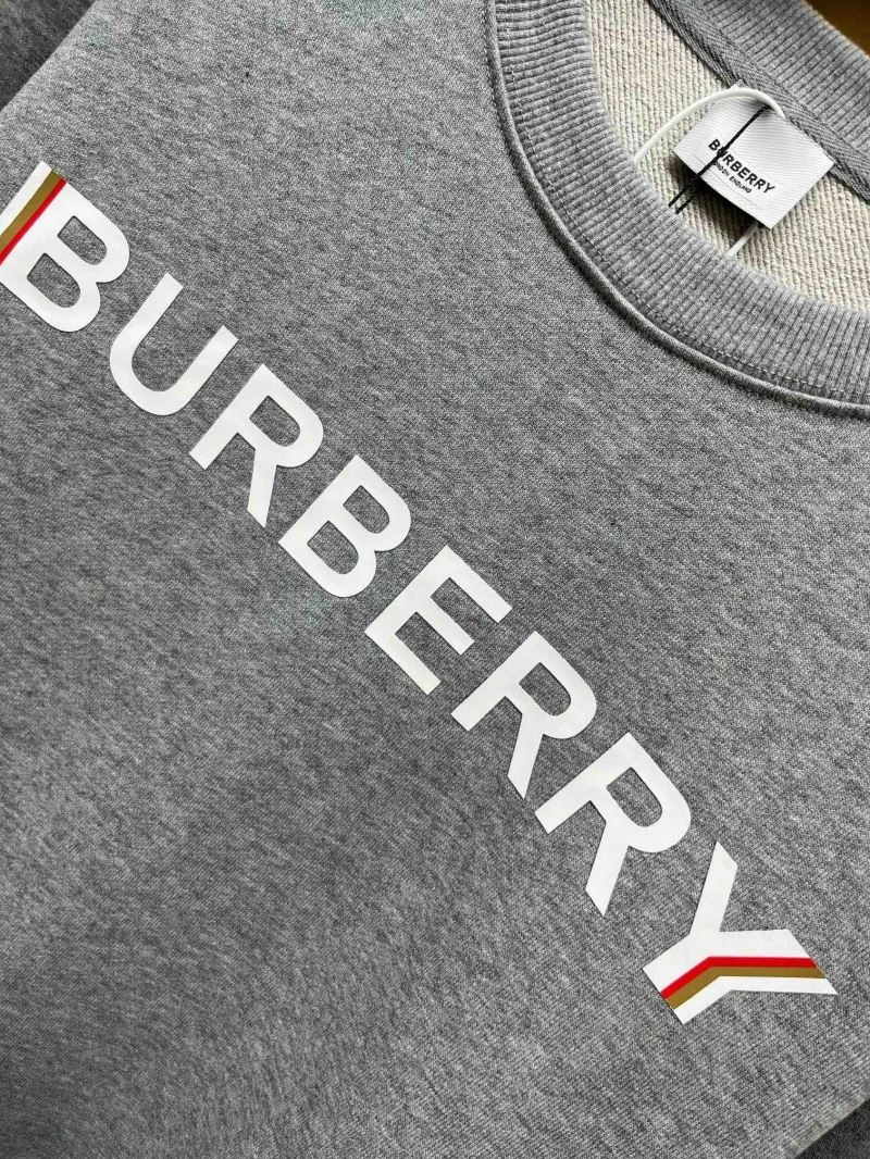 Burberry Hoodies Colorful 105631