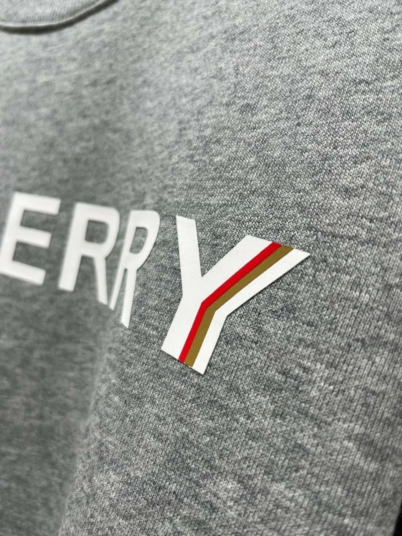 Burberry Hoodies Colorful 105631