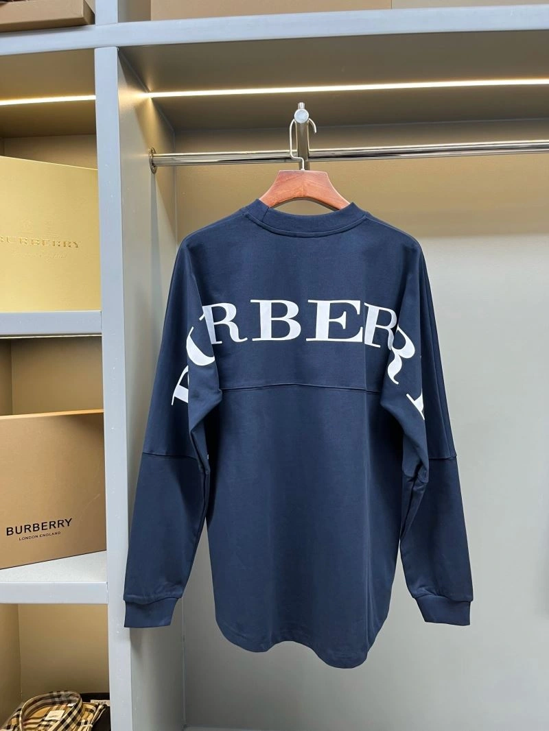WrinkleFree Burberry Hoodies 105629
