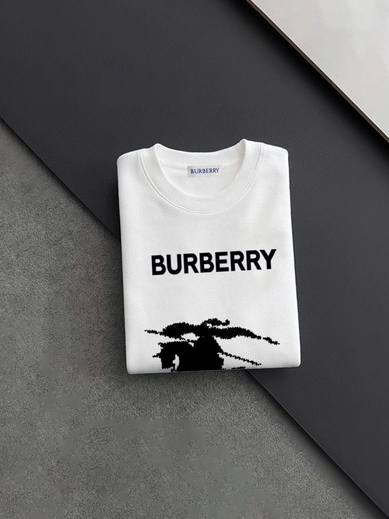 OnTrend Burberry Hoodies 102857