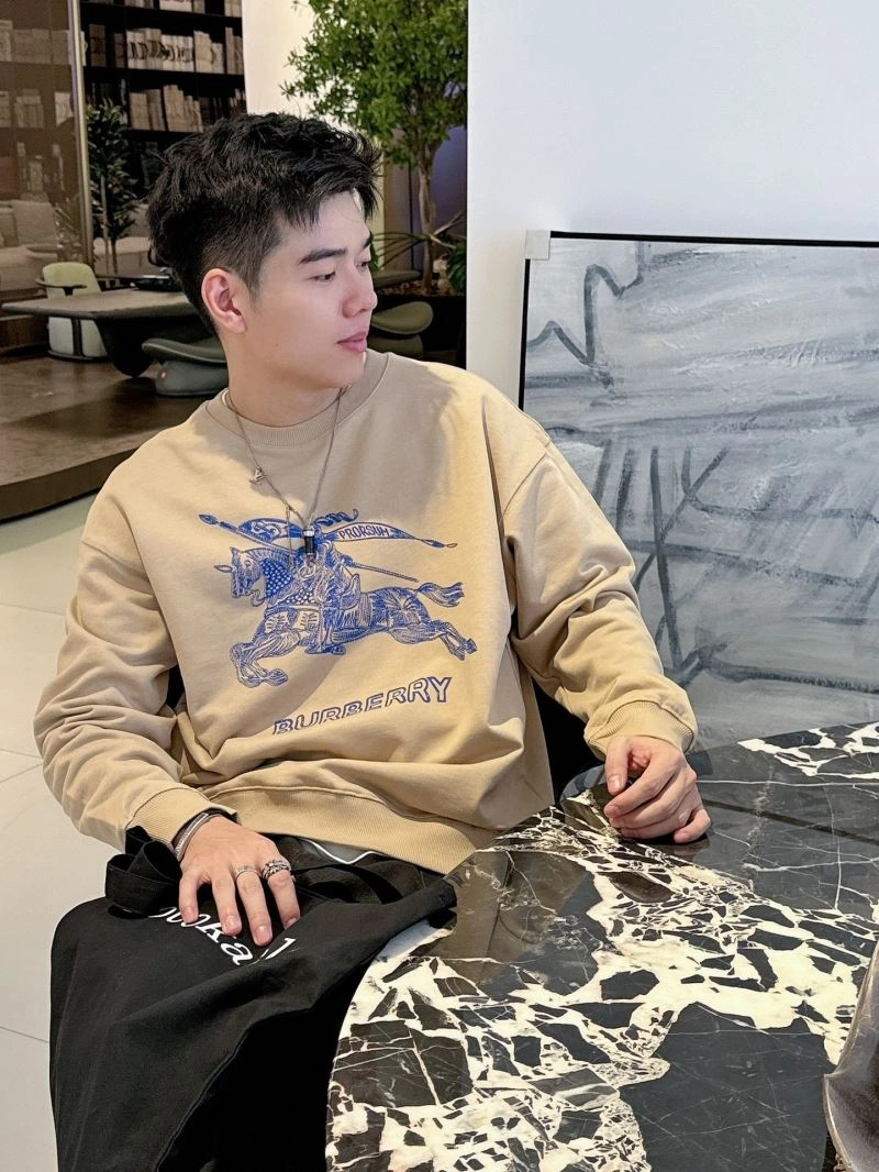 MultiPurpose Burberry Hoodies 100824
