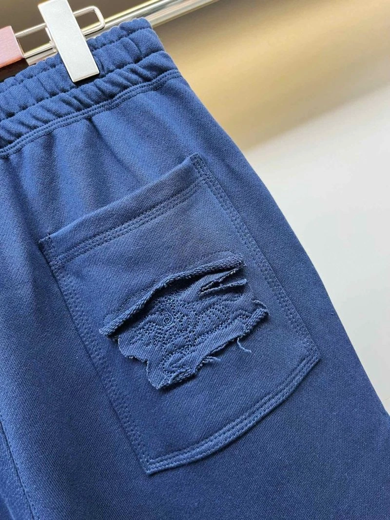 Practical Burberry Long Pants 105594