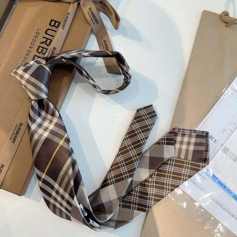 Burberry Neckties GoAnywhere 269036