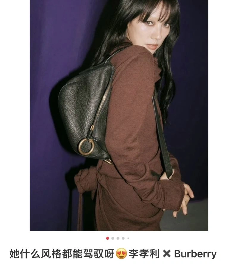 SoftTouch Burberry Satchel Bags 64574