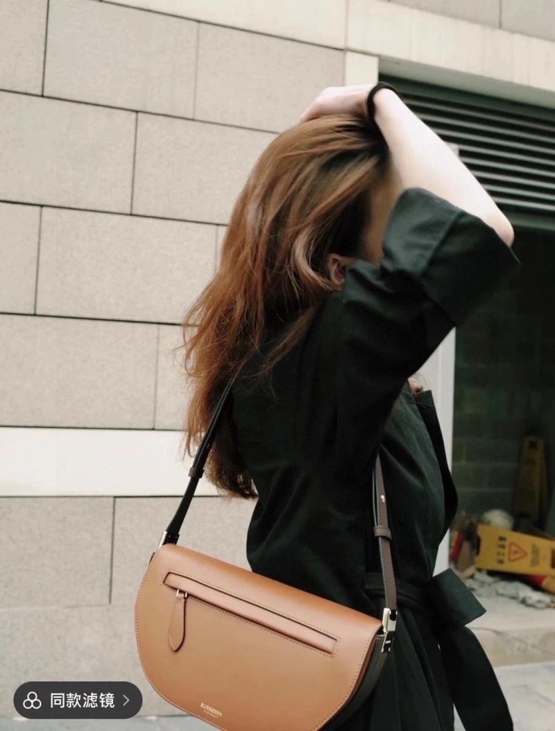 WrinkleFree Burberry Satchel Bags 64547