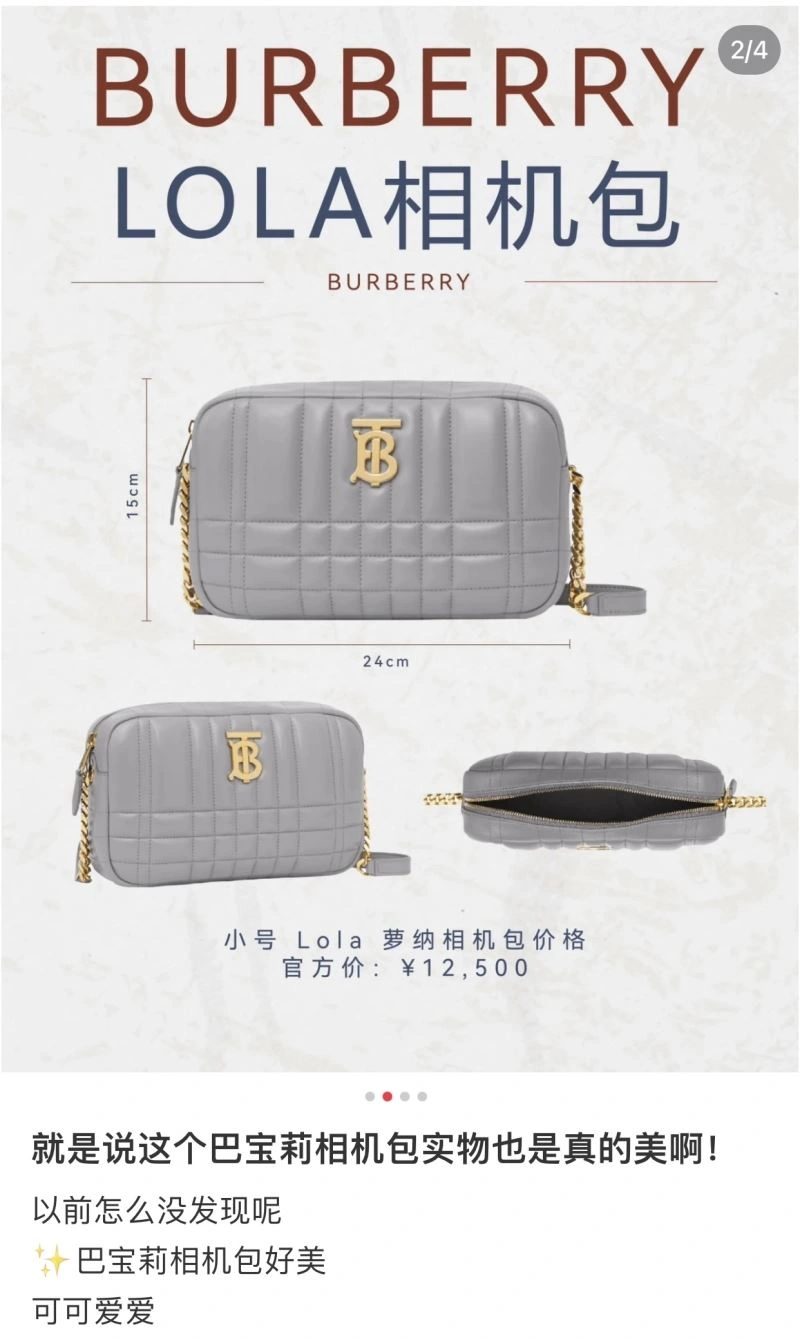 Burberry Satchel Bags Chic 64576
