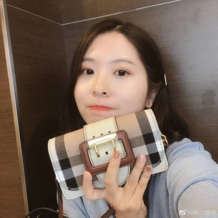 Stylish Burberry Satchel Bags 64568