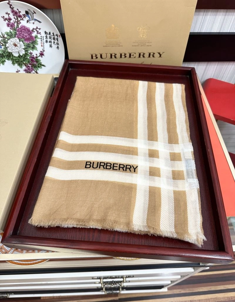 Practical Burberry Scarf 271359
